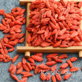 Baie de Goji séchée biologique de Ningxia à bas prix